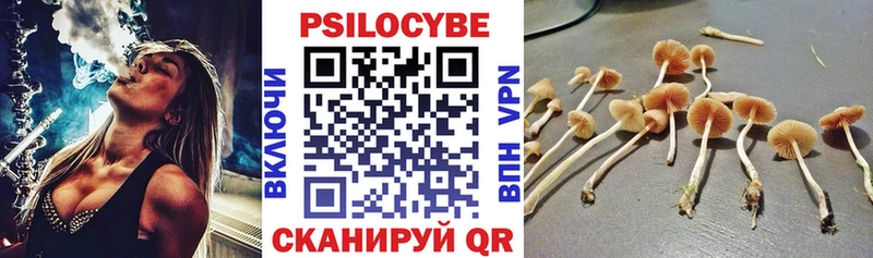Псилоцибиновые грибы Magic Shrooms  как найти наркотики  Вилючинск 